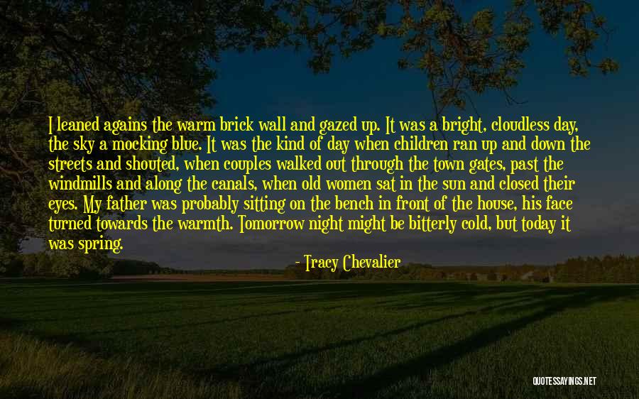 Tracy Chevalier Quotes 1320560