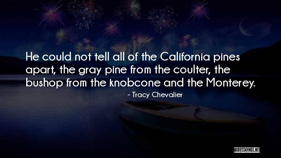 Tracy Chevalier Quotes 2041221