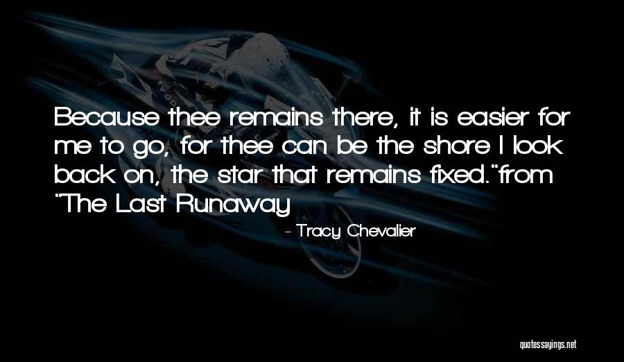 Tracy Chevalier Quotes 216395