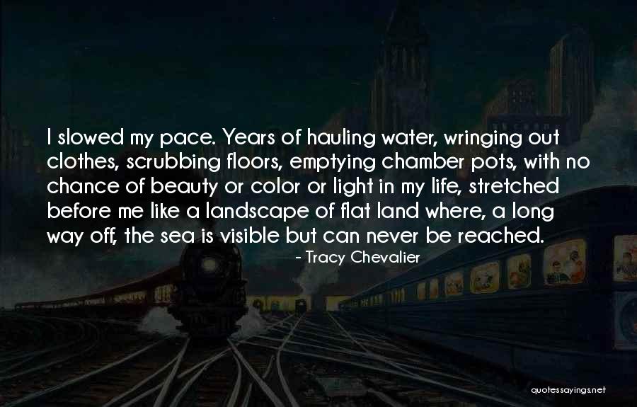 Tracy Chevalier Quotes 357875