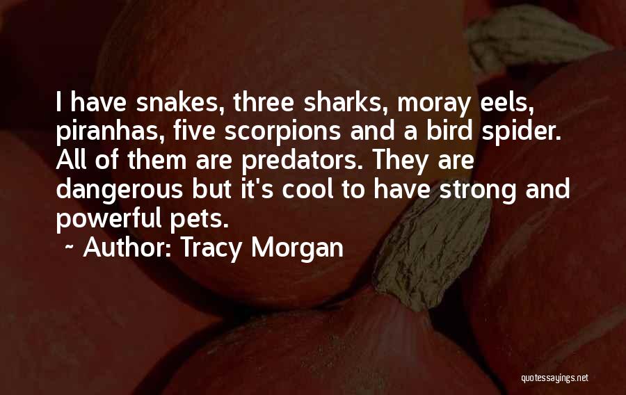 Tracy Morgan Quotes 1097061