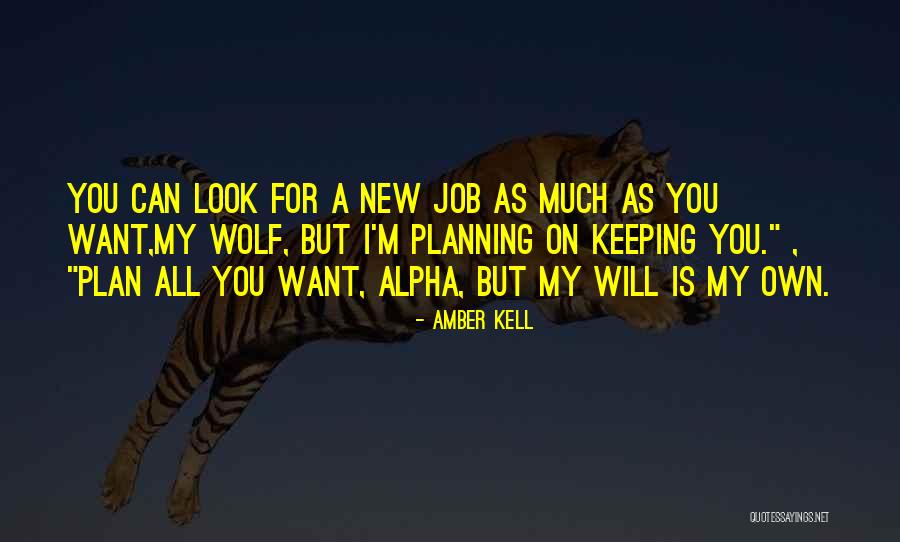 Traders Auto Insurance Quotes By Amber Kell Traders Auto Insurance Quotes By Amber Kell
