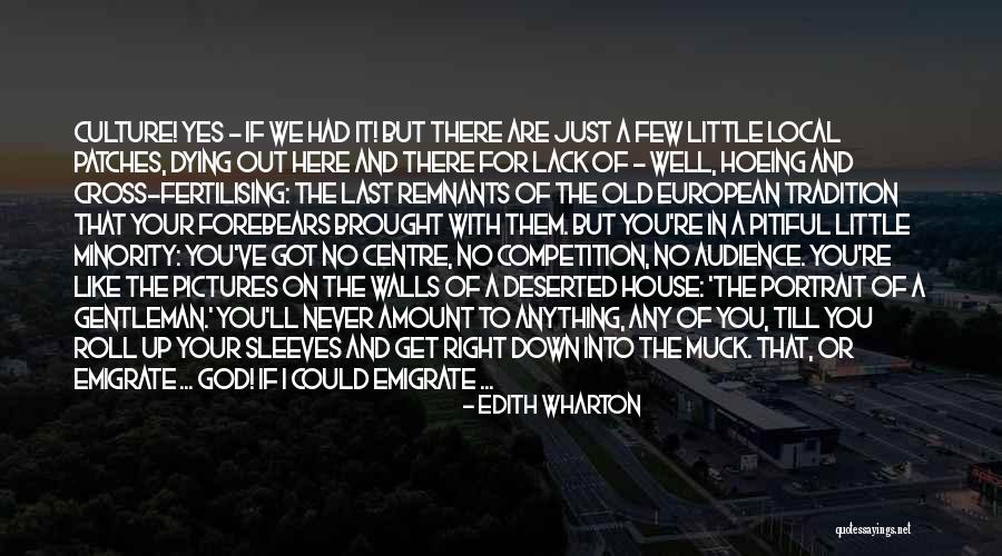 Tradition And Culture Quotes By Edith Wharton