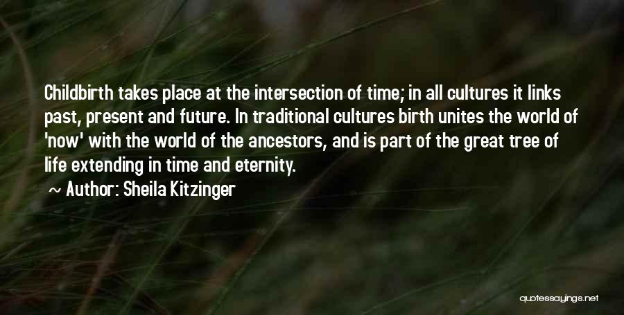 Traditional Culture Quotes By Sheila Kitzinger
