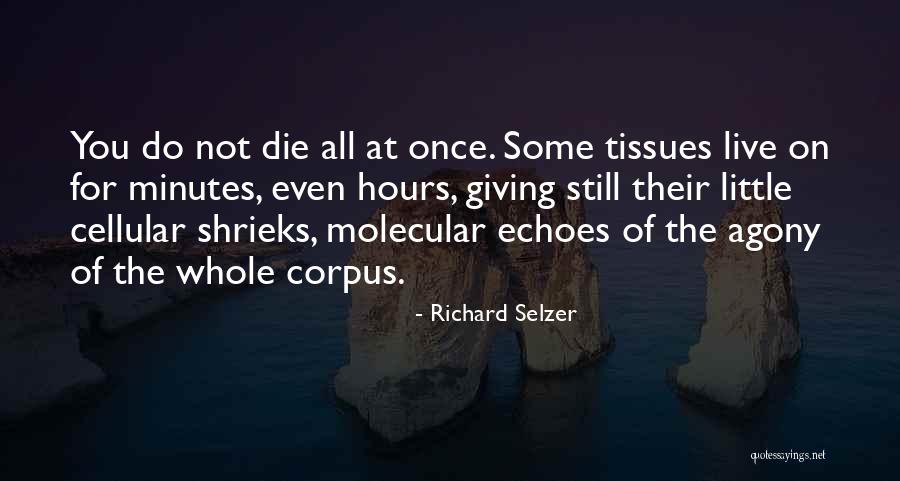 Traditore Quotes By Richard Selzer Traditore Quotes By Richard Selzer