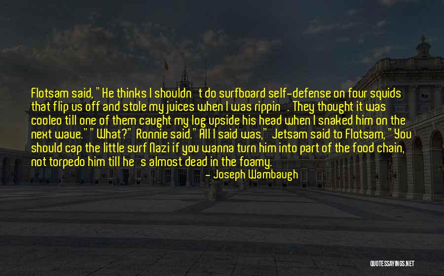 Traductores De Idiomas Quotes By Joseph Wambaugh Traductores De Idiomas Quotes By Joseph Wambaugh