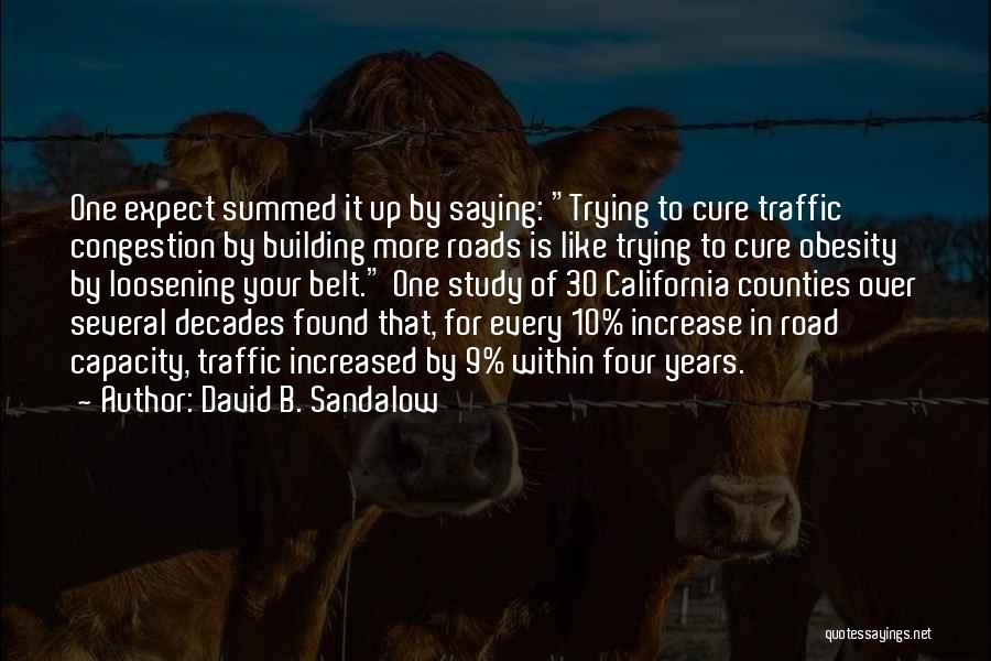 Traffic Congestion Quotes By David B. Sandalow