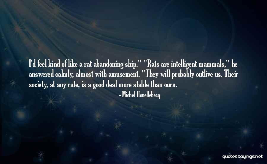 Tragbar M Nchen Quotes By Michel Houellebecq Tragbar M Nchen Quotes By Michel Houellebecq