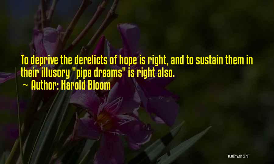 Tragedy And Hope Quotes By Harold Bloom