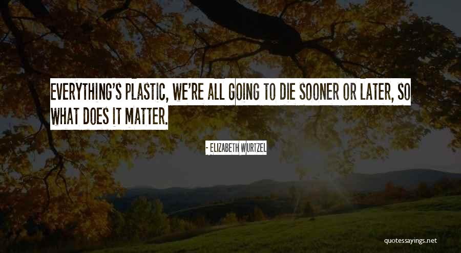 Tragi Quotes By Elizabeth Wurtzel Tragi Quotes By Elizabeth Wurtzel