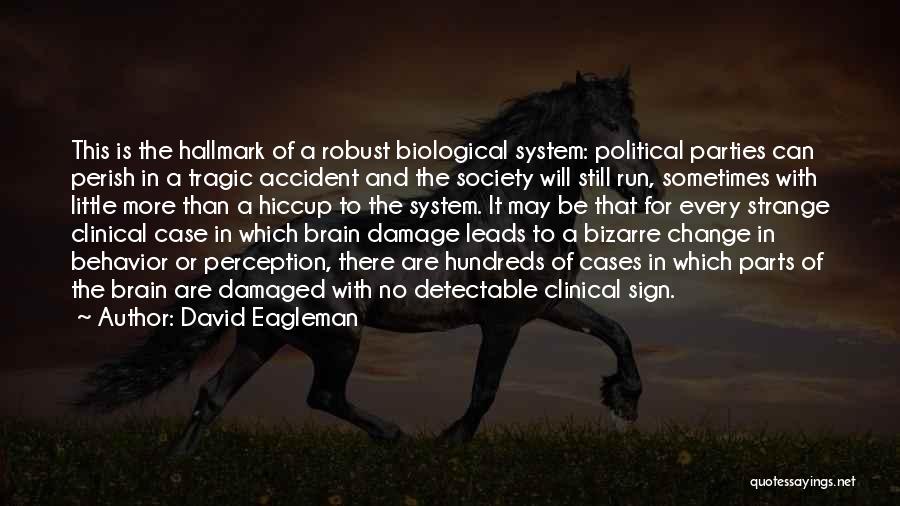 Tragic Accident Quotes By David Eagleman