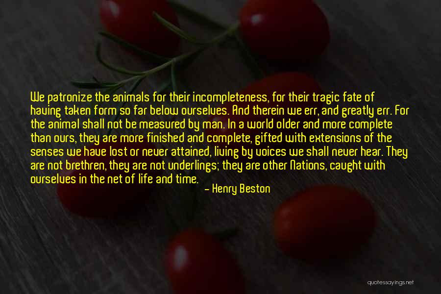 Tragic Fate Quotes By Henry Beston