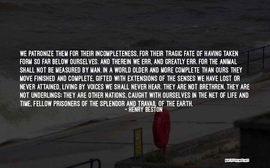 Tragic Fate Quotes By Henry Beston Tragic Fate Quotes By Henry Beston