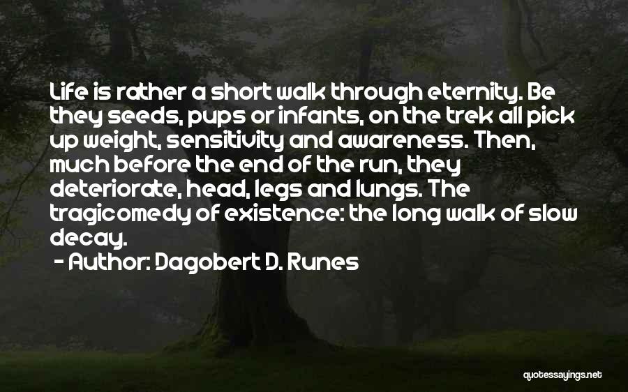 Tragicomedy Quotes By Dagobert D. Runes