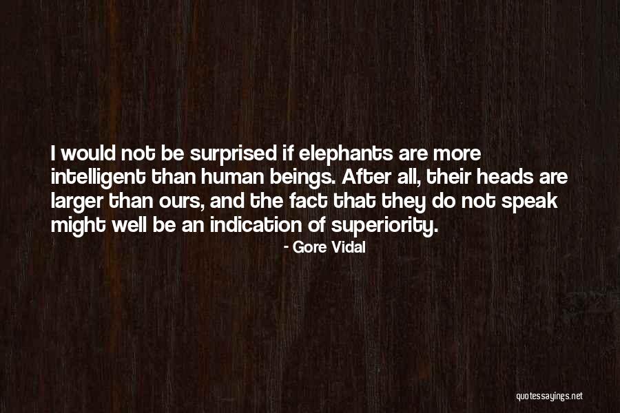 Tragicomedy Theatre Quotes By Gore Vidal Tragicomedy Theatre Quotes By Gore Vidal