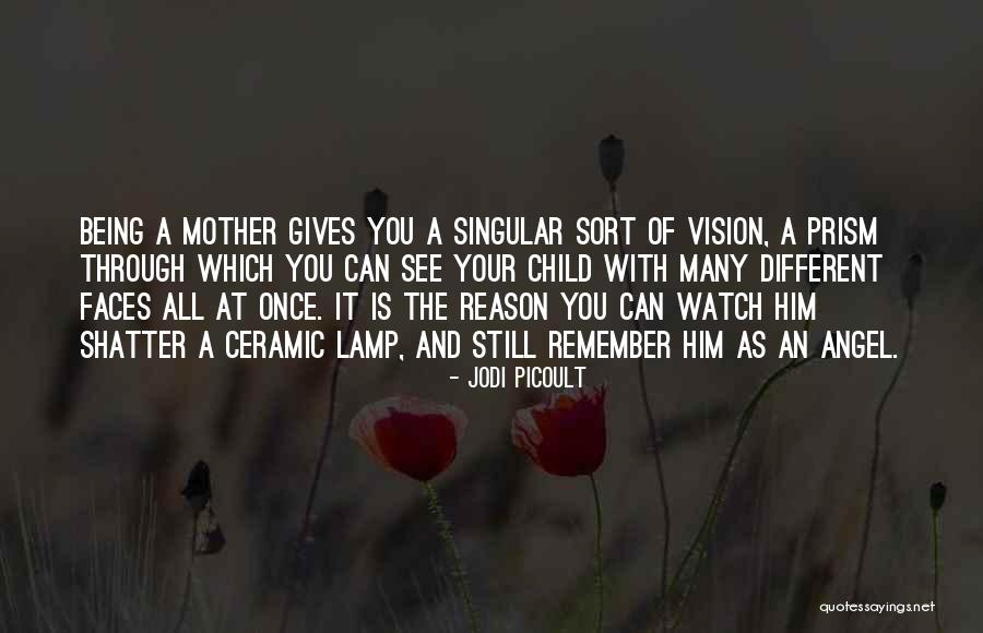Traigame Quotes By Jodi Picoult Traigame Quotes By Jodi Picoult