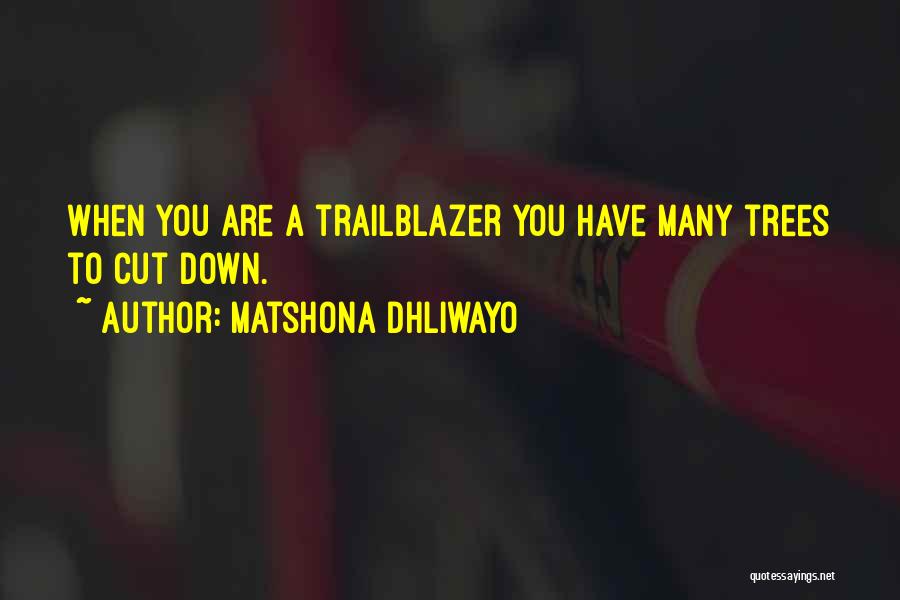 Trailblazer Quotes By Matshona Dhliwayo