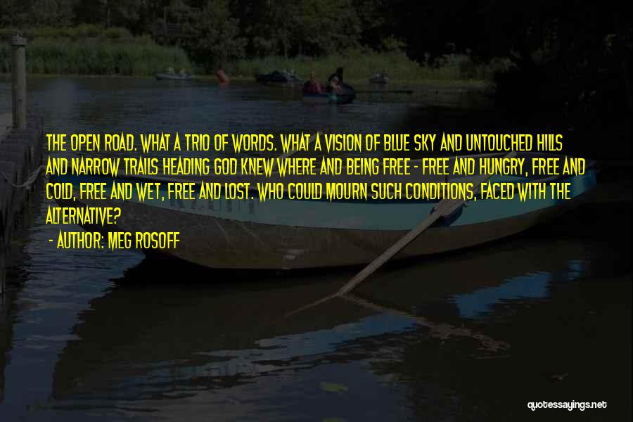 Trails Quotes By Meg Rosoff