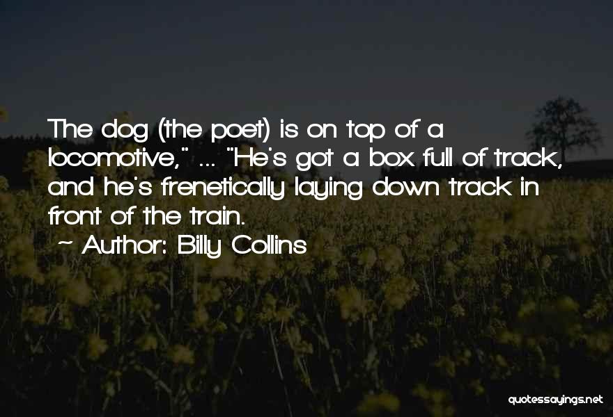 Train A Dog Quotes By Billy Collins