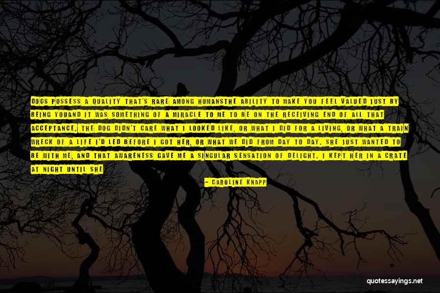 Train A Dog Quotes By Caroline Knapp Train A Dog Quotes By Caroline Knapp