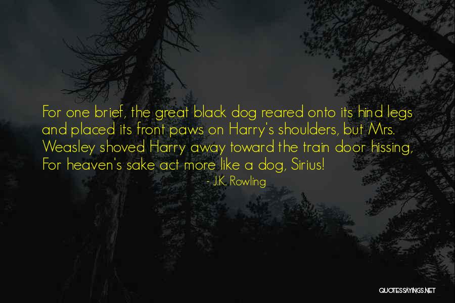 Train A Dog Quotes By J.K. Rowling Train A Dog Quotes By J.K. Rowling