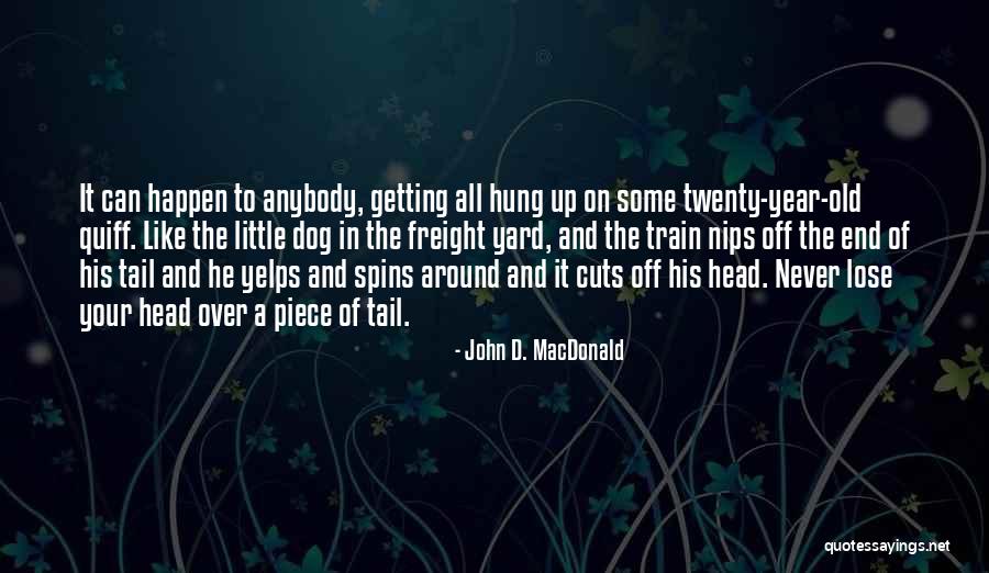 Train A Dog Quotes By John D. MacDonald Train A Dog Quotes By John D. MacDonald