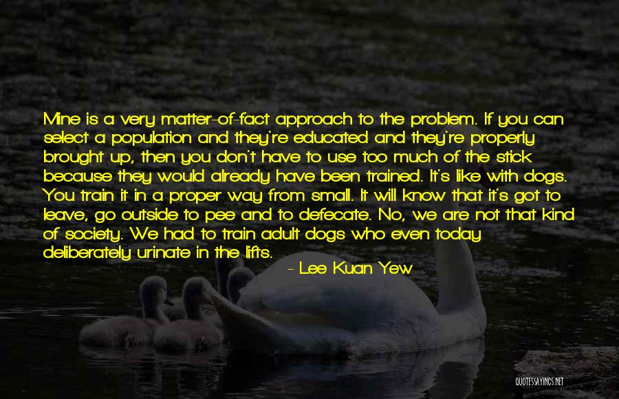 Train A Dog Quotes By Lee Kuan Yew Train A Dog Quotes By Lee Kuan Yew