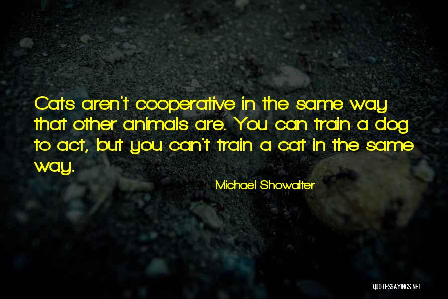 Train A Dog Quotes By Michael Showalter Train A Dog Quotes By Michael Showalter