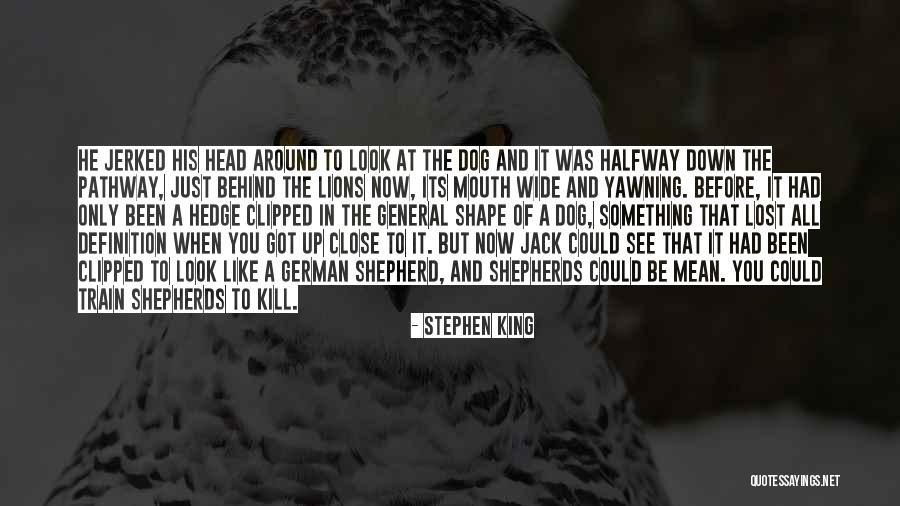 Train A Dog Quotes By Stephen King Train A Dog Quotes By Stephen King