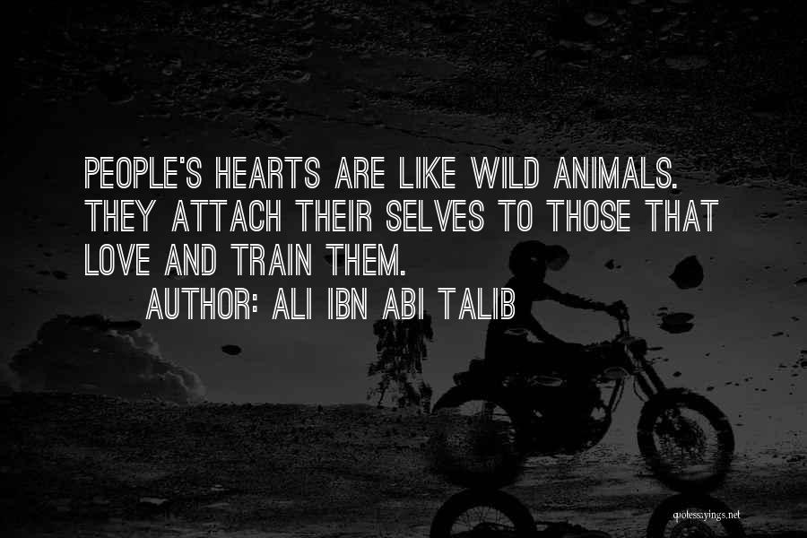 Train And Love Quotes By Ali Ibn Abi Talib