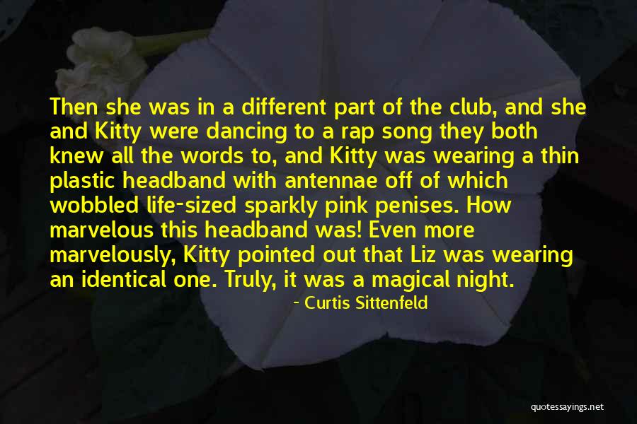 Train Driver Quotes By Curtis Sittenfeld Train Driver Quotes By Curtis Sittenfeld