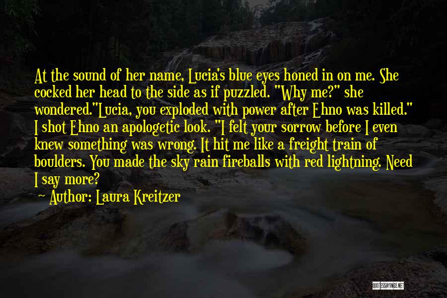 Train In The Rain Quotes By Laura Kreitzer