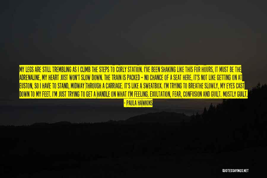 Train Station Quotes By Paula Hawkins Train Station Quotes By Paula Hawkins