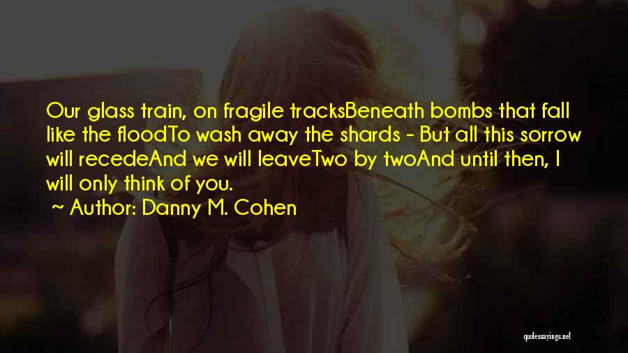 Train Tracks And Love Quotes By Danny M. Cohen