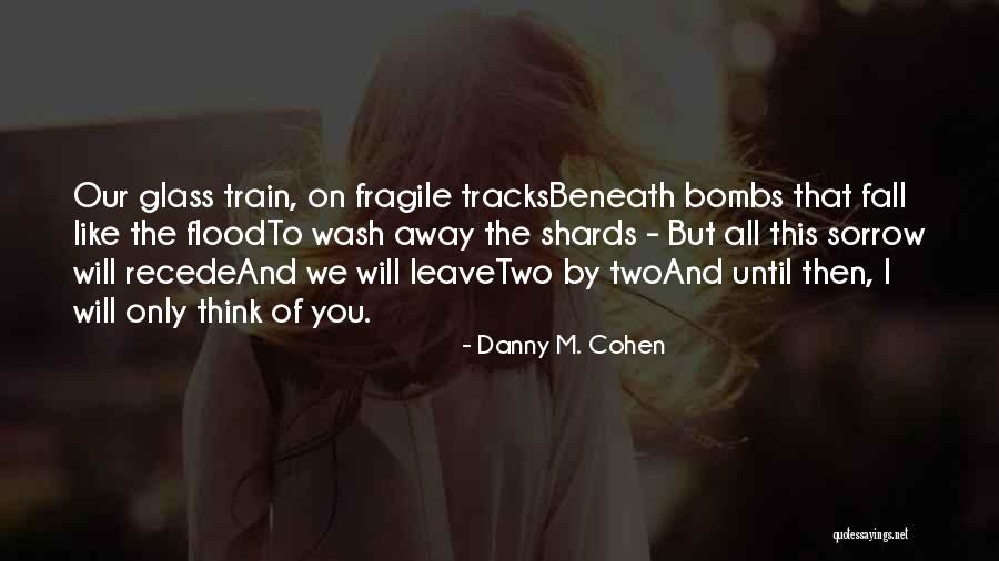 Train Tracks Quotes By Danny M. Cohen Train Tracks Quotes By Danny M. Cohen