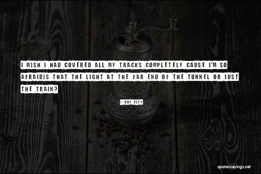 Train Tracks Quotes By Owl City Train Tracks Quotes By Owl City