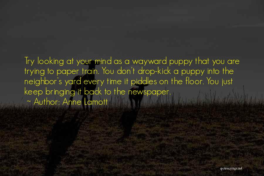 Train Your Mind Quotes By Anne Lamott