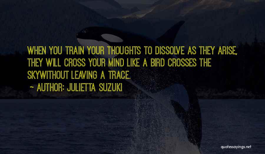 Train Your Mind Quotes By Julietta Suzuki