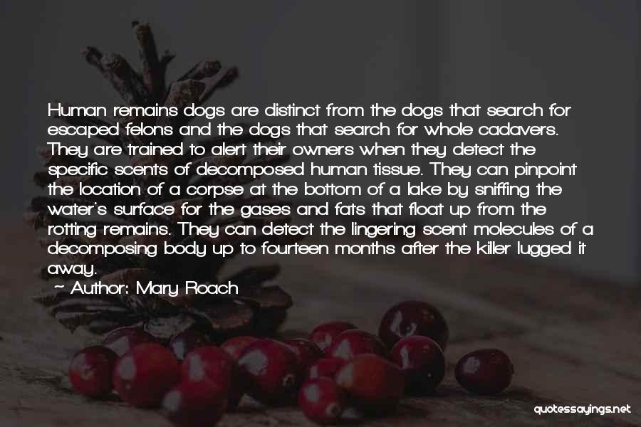 Trained Dogs Quotes By Mary Roach