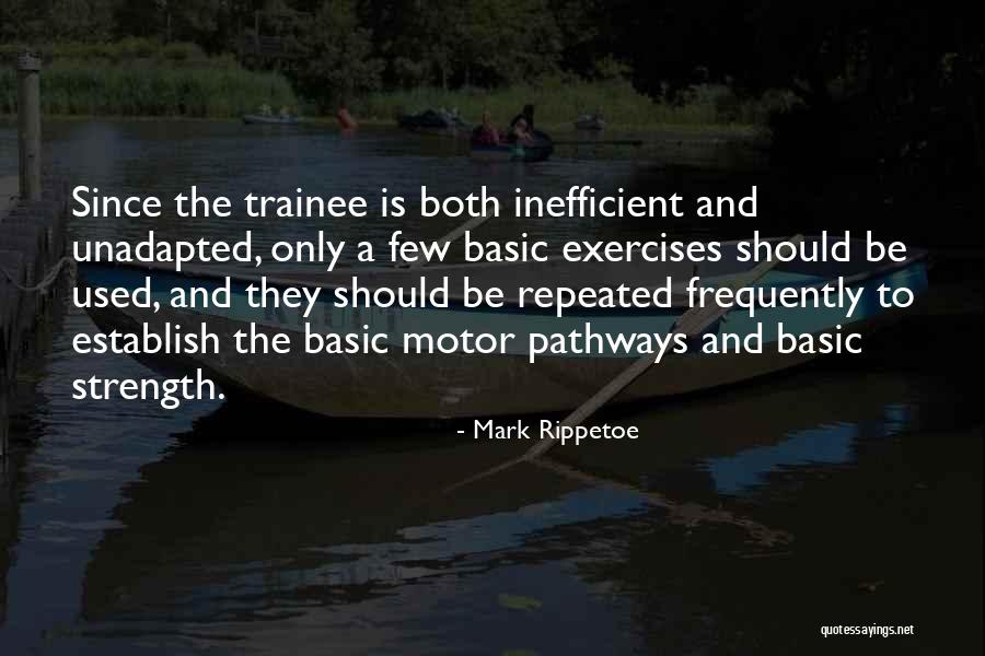 Trainee Quotes By Mark Rippetoe Trainee Quotes By Mark Rippetoe