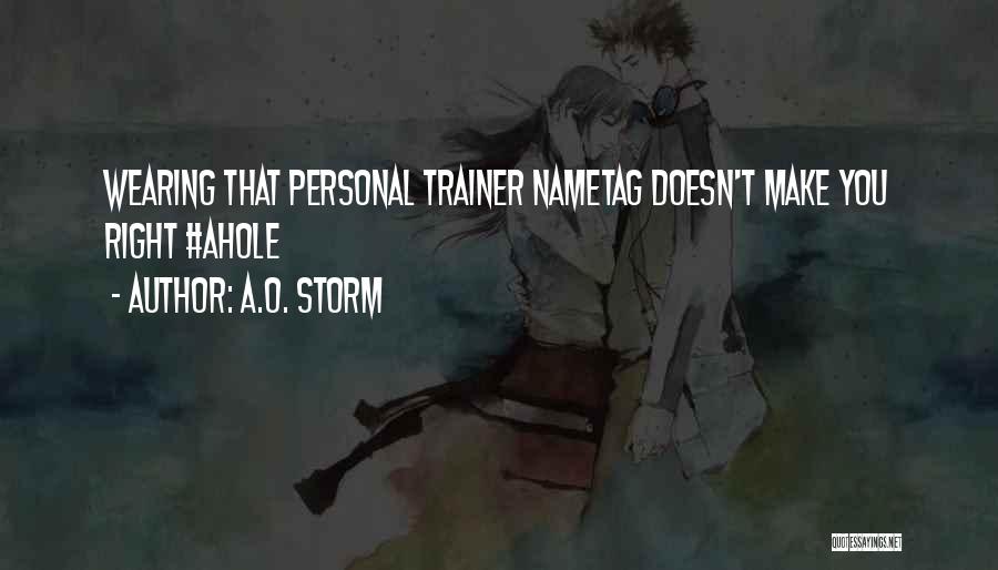 Trainer Quotes By A.O. Storm