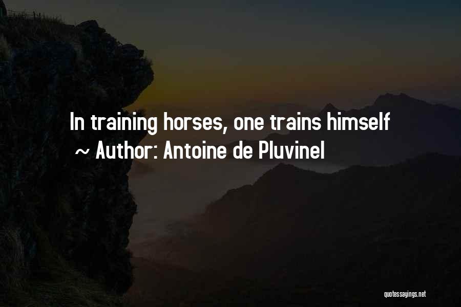 Training A Horse Quotes By Antoine De Pluvinel