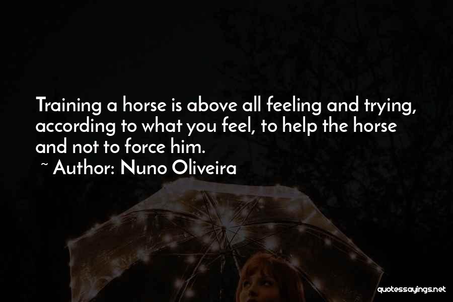 Training A Horse Quotes By Nuno Oliveira