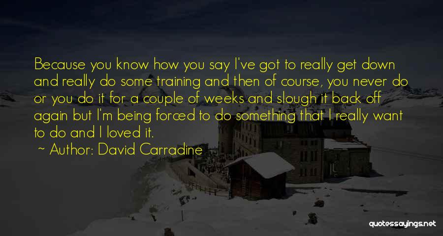 Training Course Quotes By David Carradine