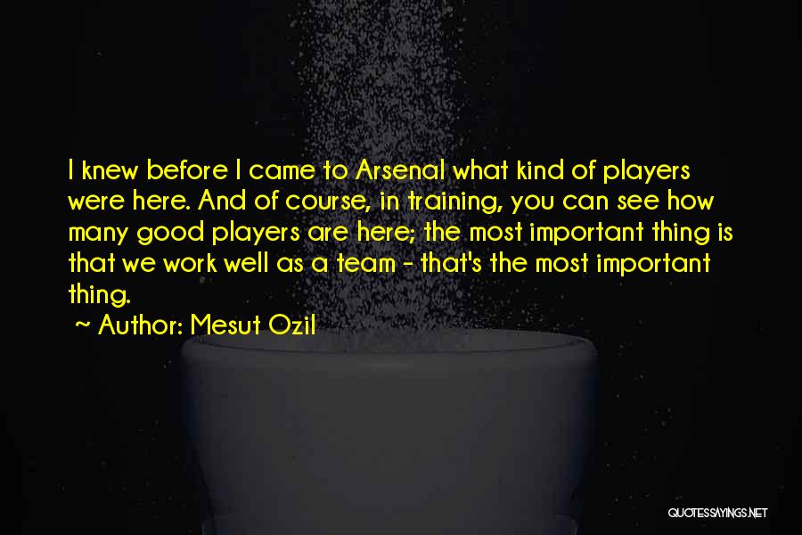 Training Course Quotes By Mesut Ozil