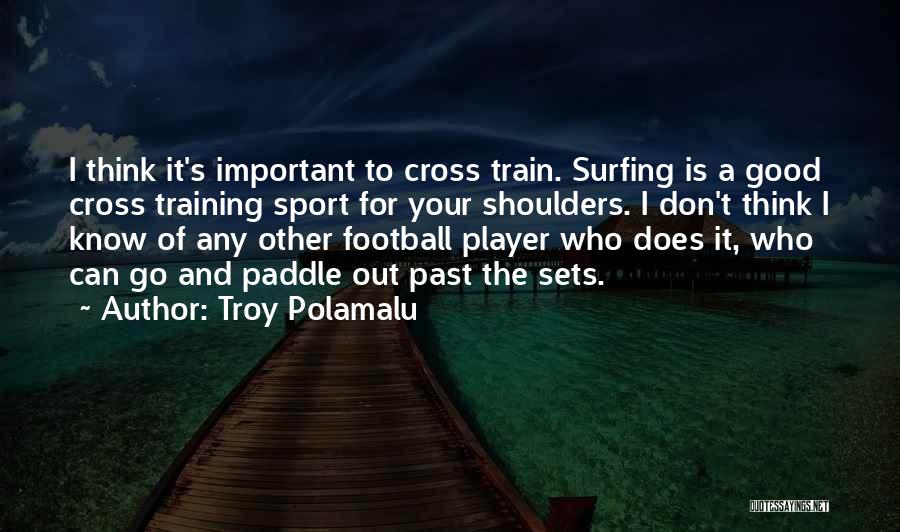 Training For Sports Quotes By Troy Polamalu