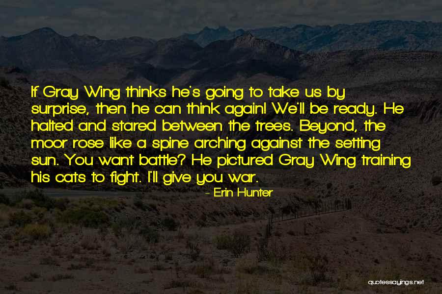 Training For War Quotes By Erin Hunter