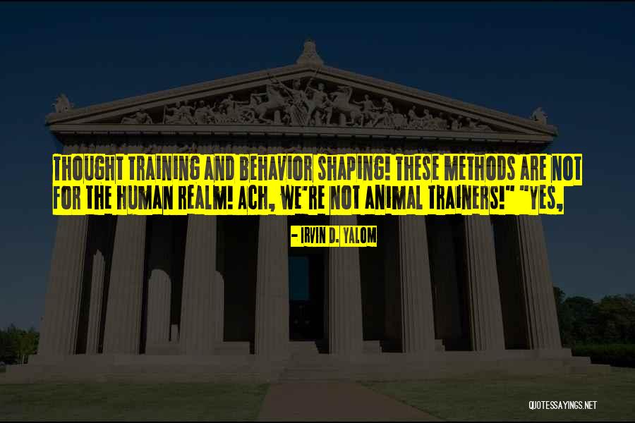 Training Of Trainers Quotes By Irvin D. Yalom