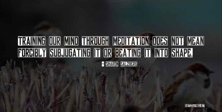 Training Quotes By Sharon Salzberg