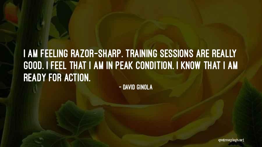 Training Sessions Quotes By David Ginola